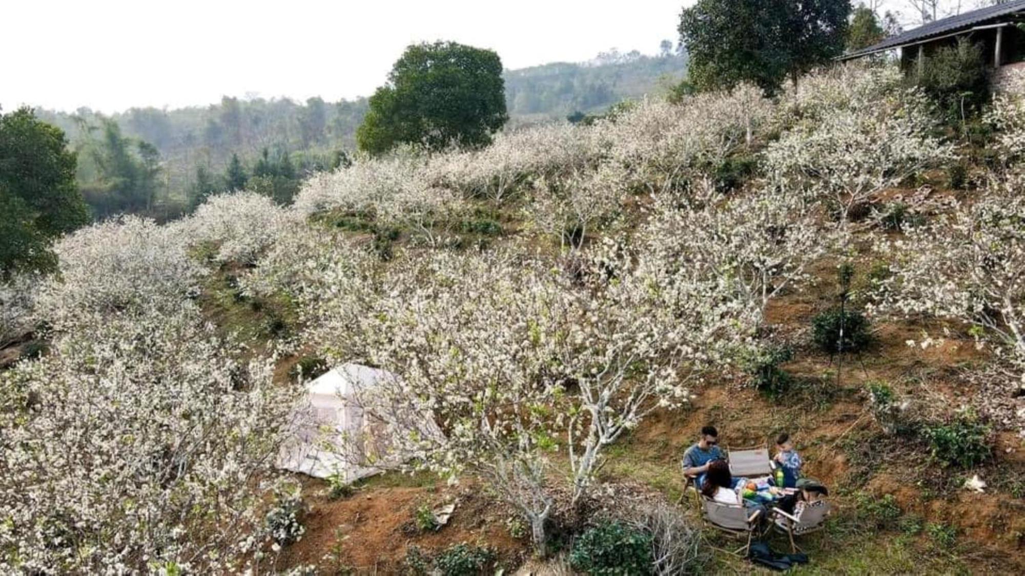 Nam Thia Homestay Yen Bai Dış mekan fotoğraf